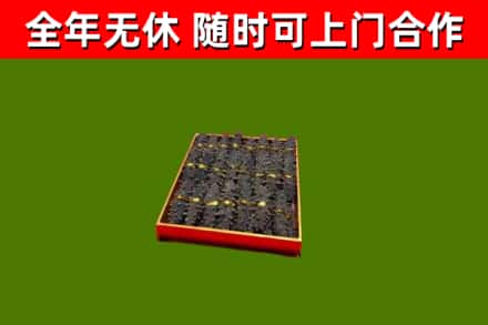 洪湖市回收海参
